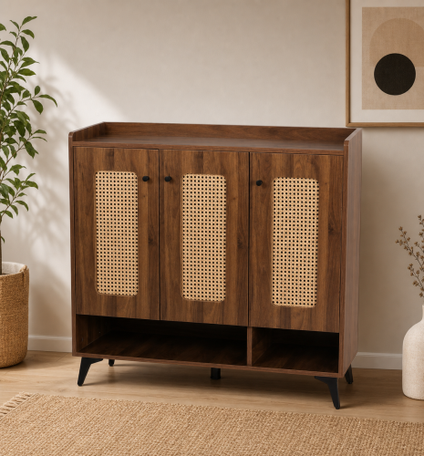 Modern shoe cabinet