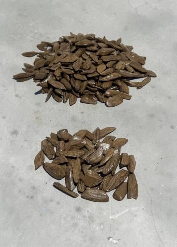 مروكي فاخر محسن