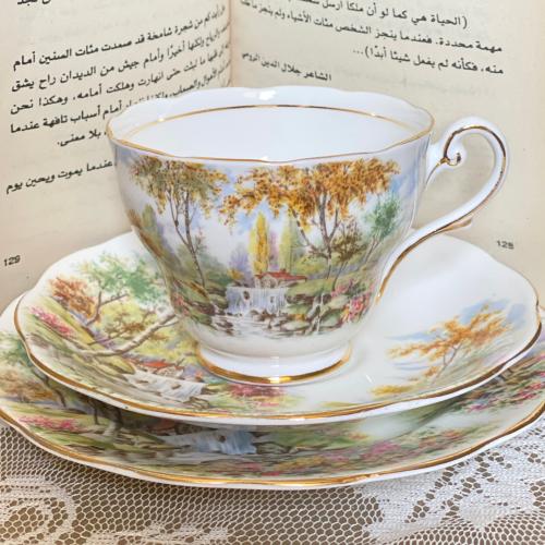 Royal Standard "The Old Mill Stream" cup