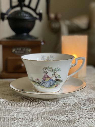 Watteau Design Royal Worcester Cup and Saucer 1958...