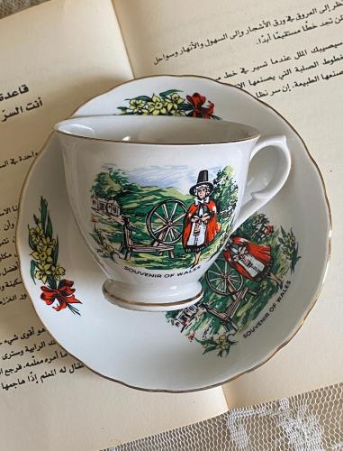Souvenir of wales