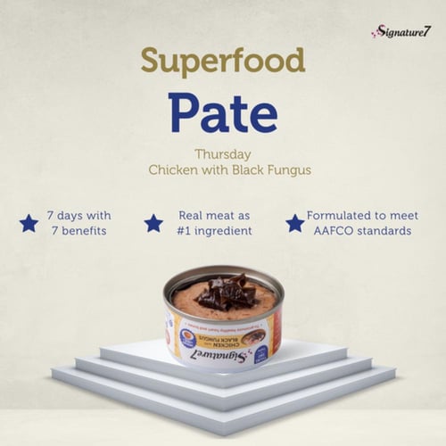 سغنتشر7 بالدجاج والفطر الاسود لصحة القلب و العظام...