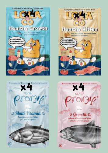 مجموعة القطط الصغيرة (20 منتج)