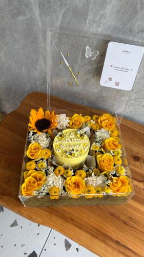Sunshine Box