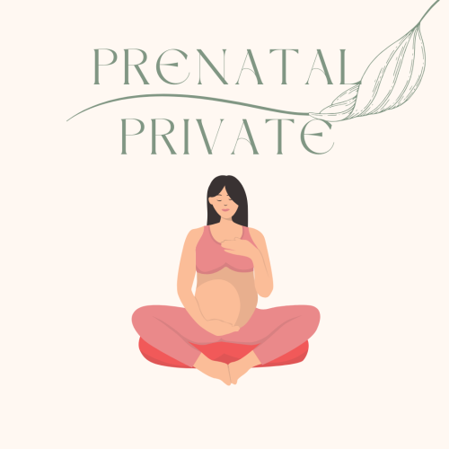 Prenatal Class Private