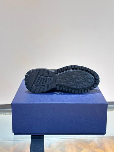 Dior سنيكرز