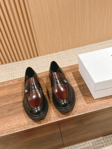 Dior Explorer