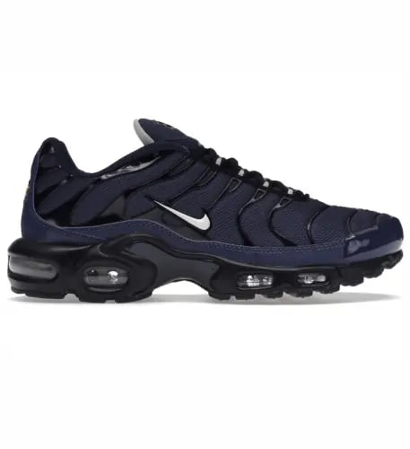 NIKE AIR MAX PLUS TN "VOLCANO DARK GRADIENT"