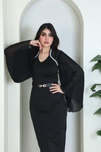فستان نسائي راقي بقصة اكمام واسعة بلاسيه مزينه بلؤ...