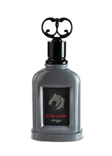 Stallion