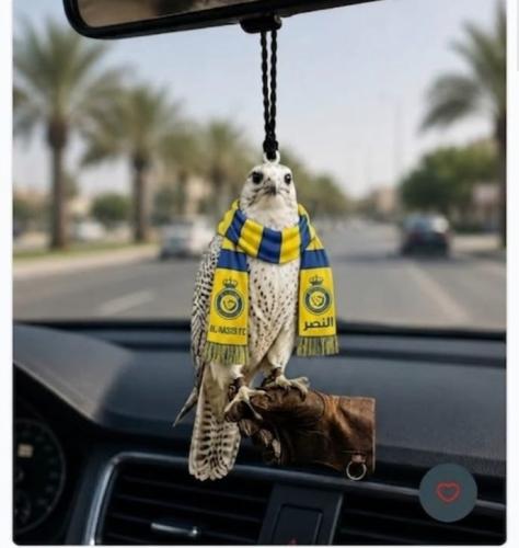 تعليقه الصقر شال النصر