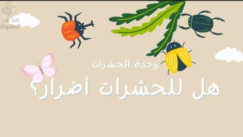 هل للحشرات أضرار ؟