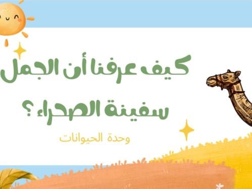 كيف عرفنا أن الجمل سفينة الصحرااء؟