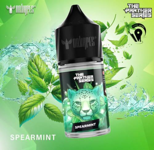 بانثر نعناع سولت - Panther Spearmint Salt