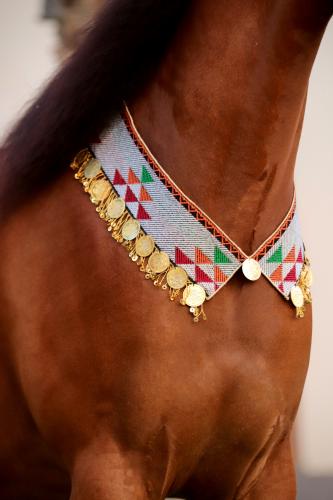 Horse accessory E12