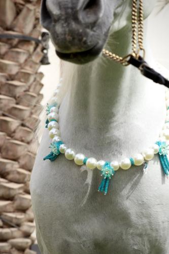 Horse accessory E3