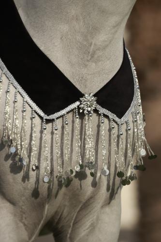 اكسسوار خيل E28