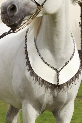 Horse accessory E23