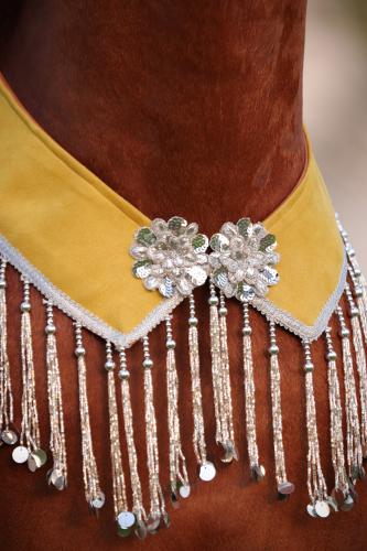 اكسسوار خيل E40