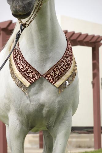 Horse accessory E8
