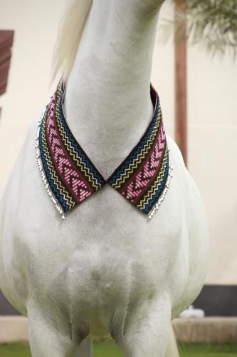 Horse accessory E15