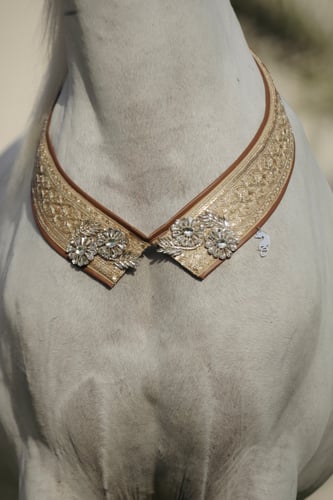 Horse accessory E32