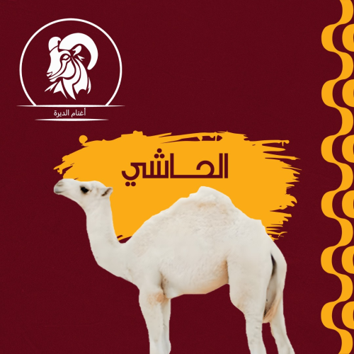 حاشي كامل 75 كيلو