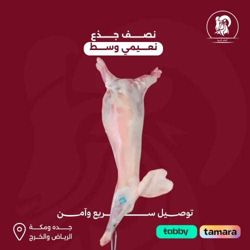 نصف جذع نعيمي وسط