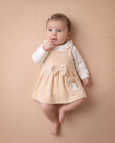 فستان بيبي بناتي قطيفة مطرز على الجيب قنفذ يحمل زه...