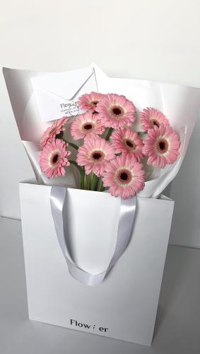 باقة الجربيرا | Gerbera Bouquet