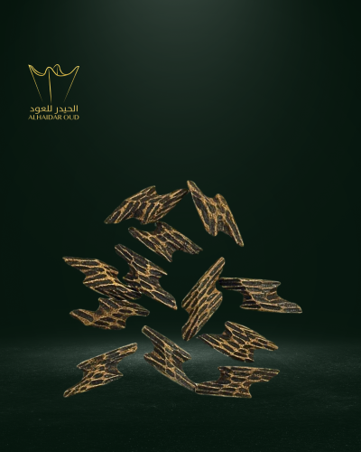 عود تايقر مني محسن -خالي من المستكة-