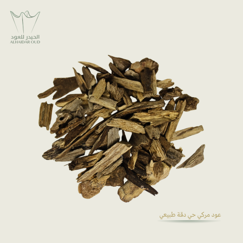 عود مروكي حي أرياني طبيعي - دقة -