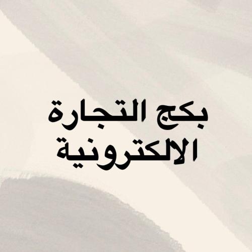 بكج دورة تعلم التجارة الالكترونية 10 منتجات