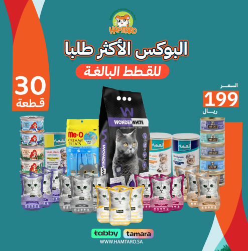 بوكس عيد ميلاد هامتارو