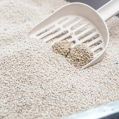 رمل بايو كات 10 لتر بيانكو اكسترا