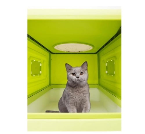 ليتر بوكس للقطط مغلق بدرج