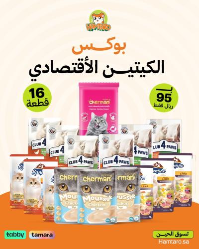 بوكس الكتين الاقتصادي