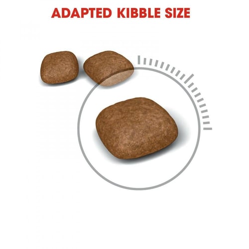 رويال كانين يوريناري طعام جاف للقطط للعناية بالمسا...