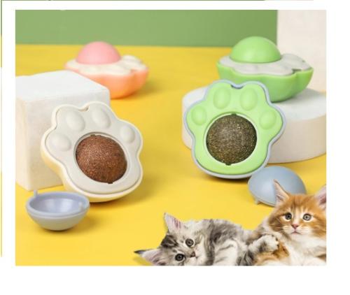 كاتنيب للقطط اشكال و الوان مختلفة