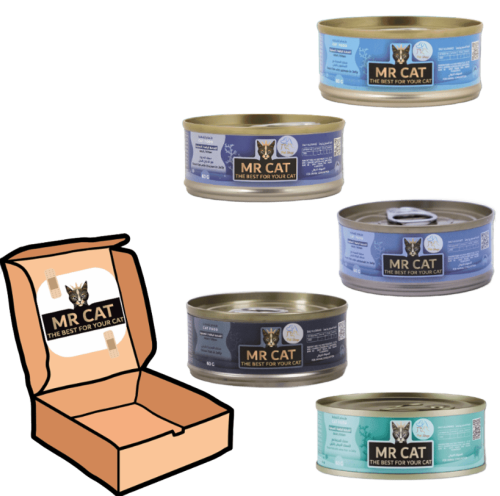 كرتون مستر كات طعام رطب للقطط 24 قطعة مشكل