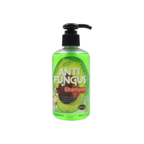 سبيريت شامبو المضاد للفطريات