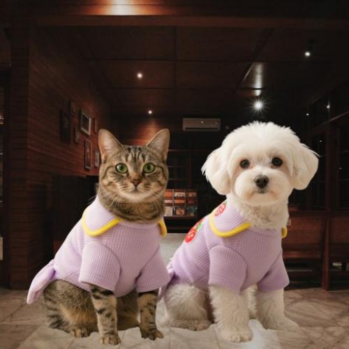 ملابس للقطط والكلاب الوان ومقاسات مختلفه