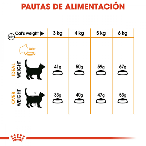 رويال كانين هير اند سكين طعام جاف للقطط للعناية با...