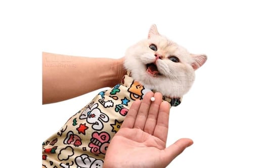 سجادة لفّ متعددة الوظائف للعناية بالقطط، مضادة لله...