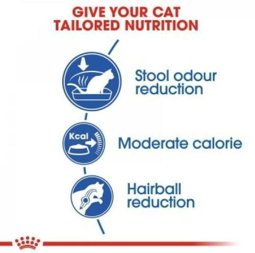 رويال كانين اندور طعام جاف للقطط المنزلية الداخلية...