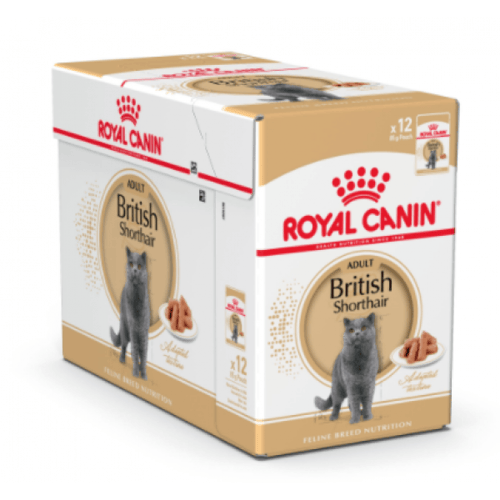 رويال كانين بريتش شورت هير كرتون