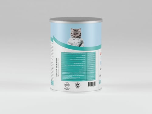 لقمه طعام رطب للقطط الصغيرة قطع الدجاج والحليب في...