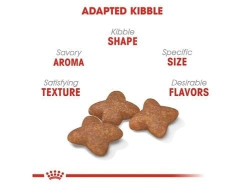 رويال كانين ميني ادولت 8 ك