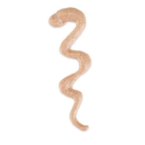 شيزر ستيكس مكافأة للقطط بالتونا 6×15جم