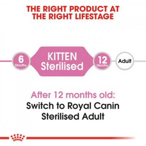 رويال كانين كيتن ستريلايزد 2 كيلو